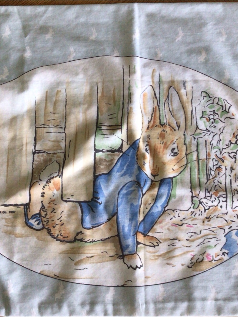 Beatrix Potter Easter Peter Rabbit Cannon Royal family standard pillowcase USA